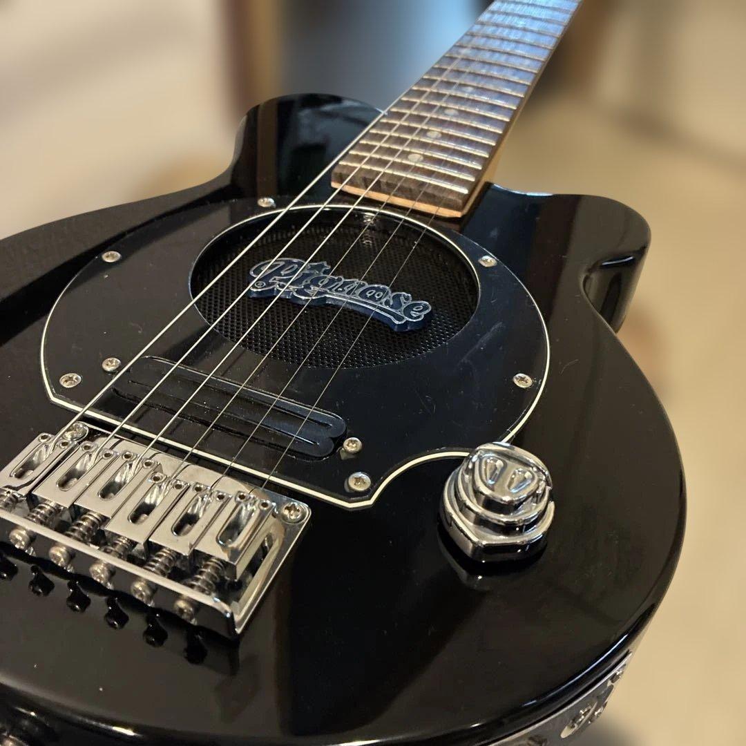 ピグノーズPGG200 ブラック