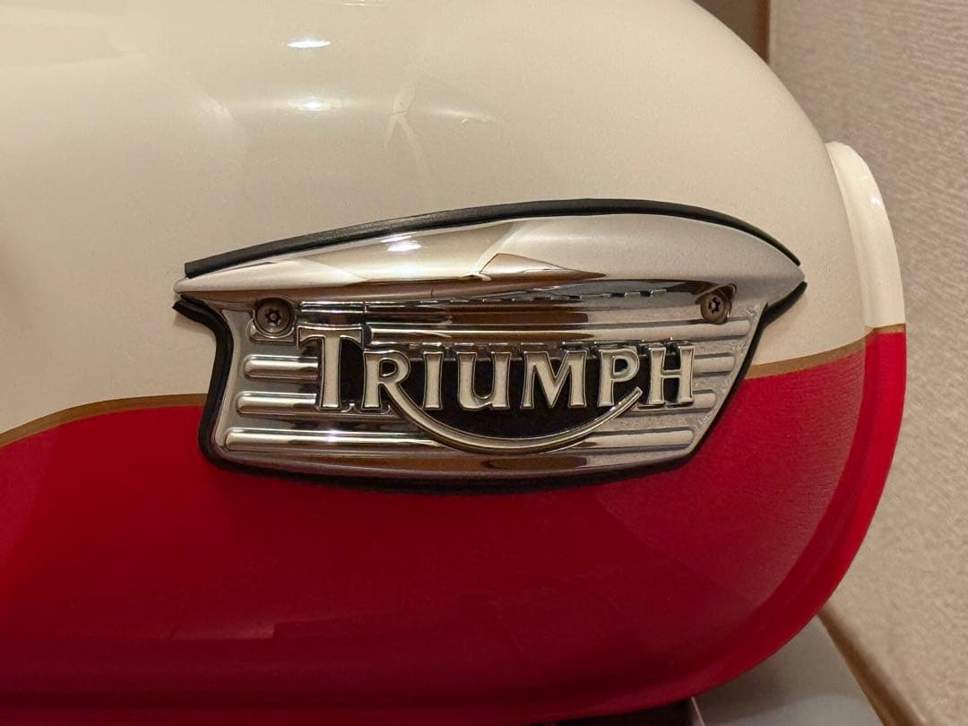 Triumph スクランブラー900 ガソリンタンク