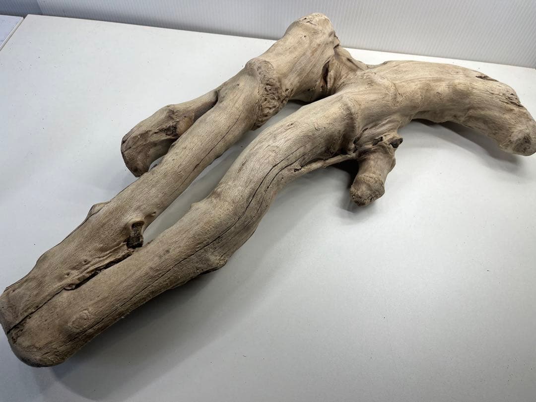 k6大型流木 アク抜き済み 爬虫類シェルター レイアウト用 登り木 インテリア