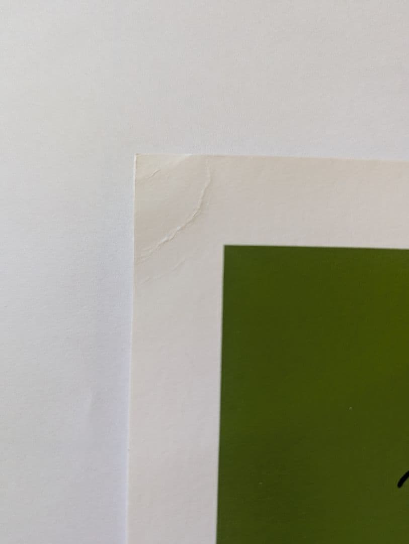 hanai 花井祐介 シルクスクリーン ロサンゼルス限定 ネペンテス サイン