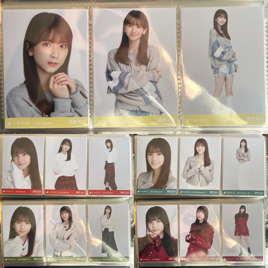 乃木坂46 菅原咲月 2024年月間ランダム 生写真 コンプ 37種 まとめ売り
