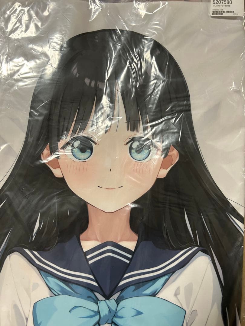 Z-M Pillows 明日小路 抱き枕カバー ライクトロンリッチ版　らうと