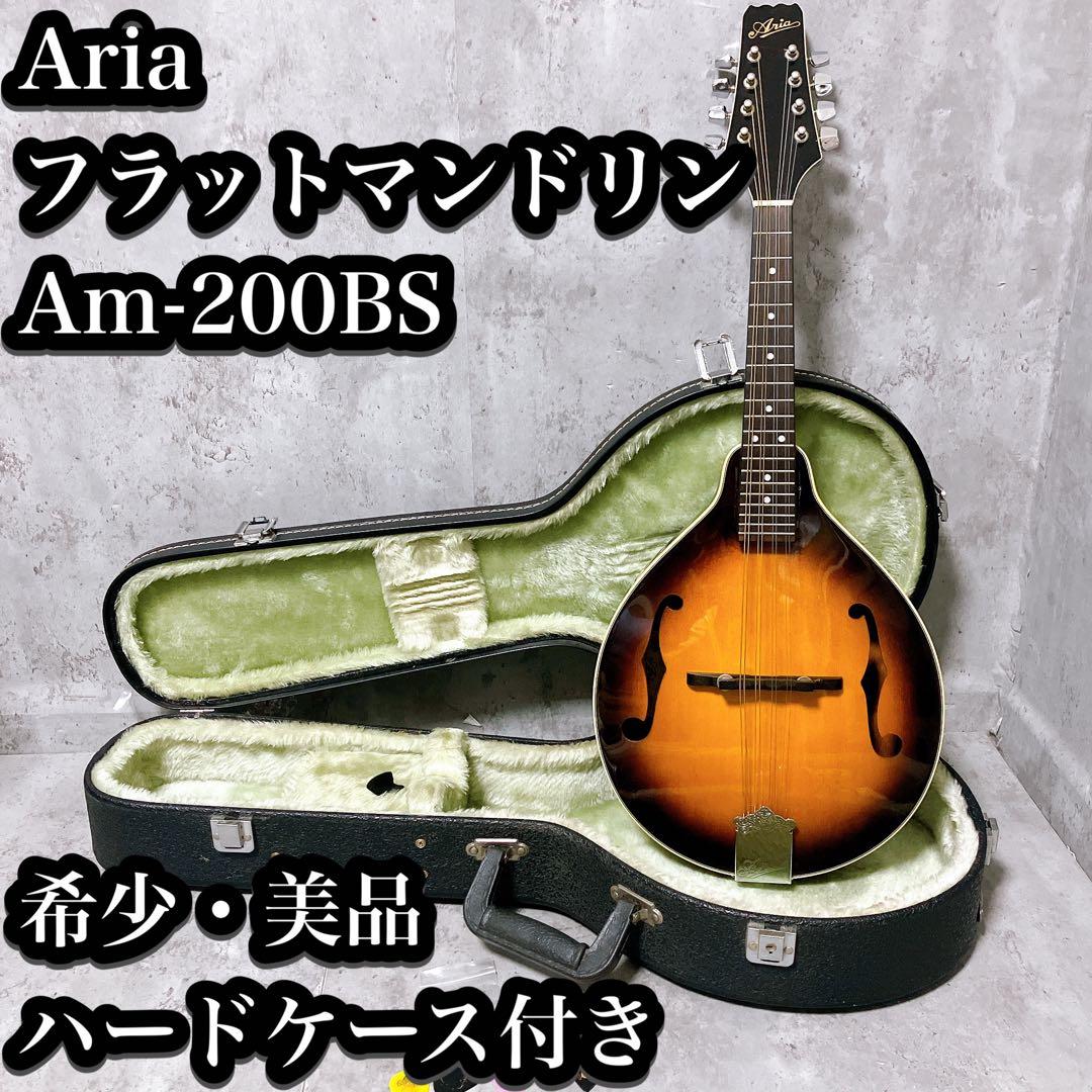 【希少・美品】Aria フラットマンドリン Am-200 BS ハードケース付き