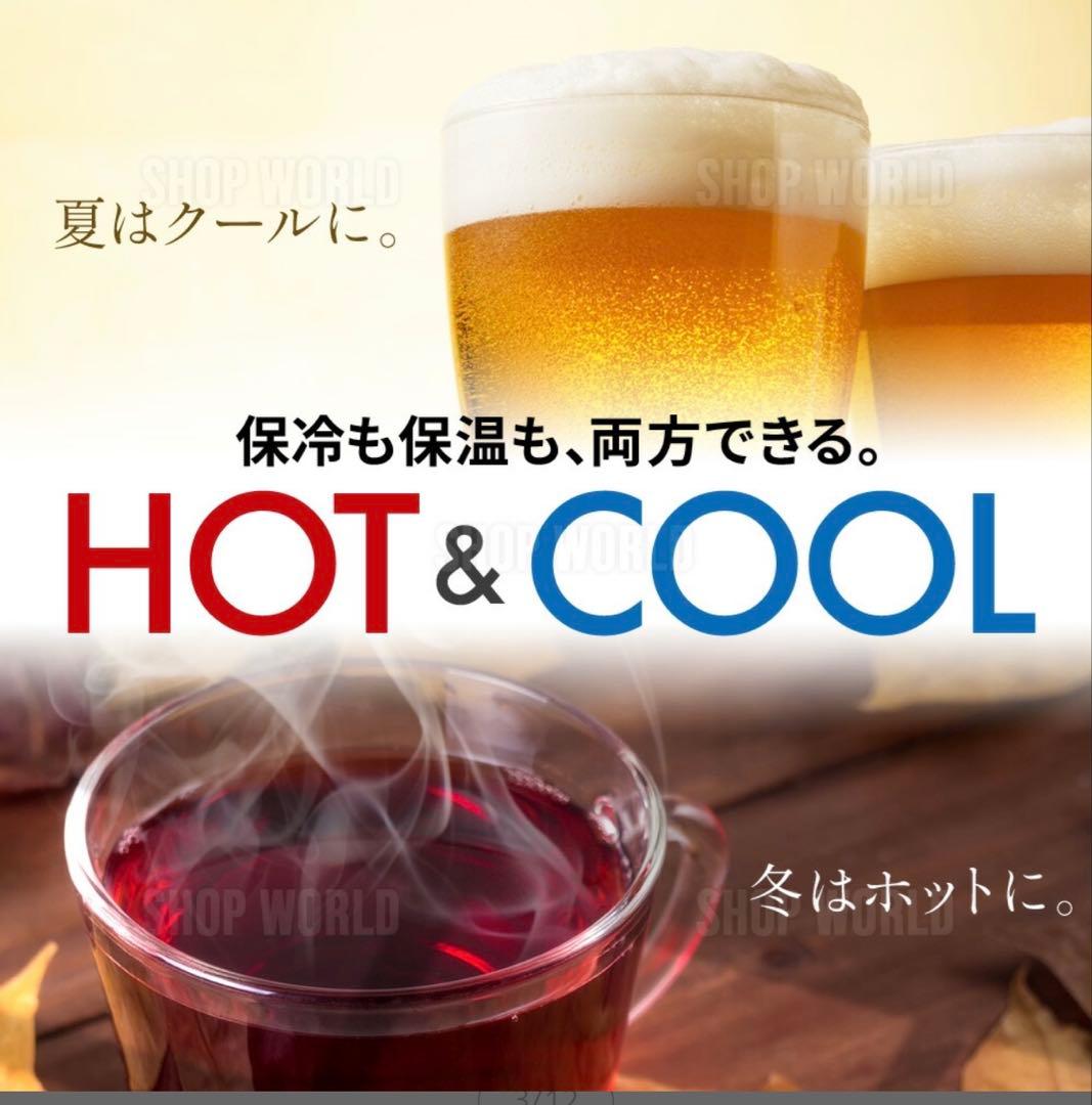 ミニ冷蔵庫　25L 冷温庫 AC/DC対応 LEDライト付き