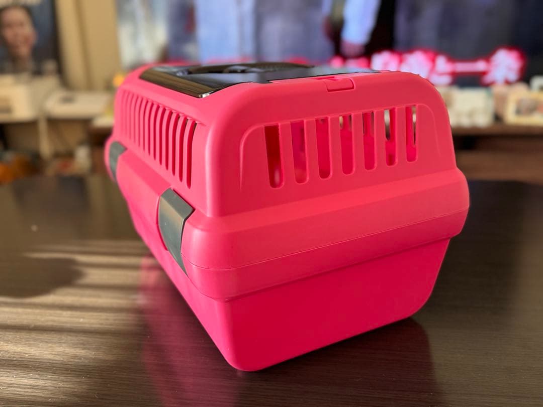 リッチェル　ペットキャリー　肩ベルト付き　中古