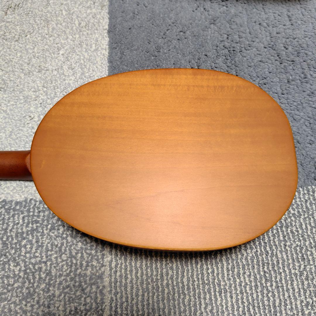 【値下げ！ほぼ新品！】2025年製　ヤイリギター　一五一会　奏生　書籍入門セット