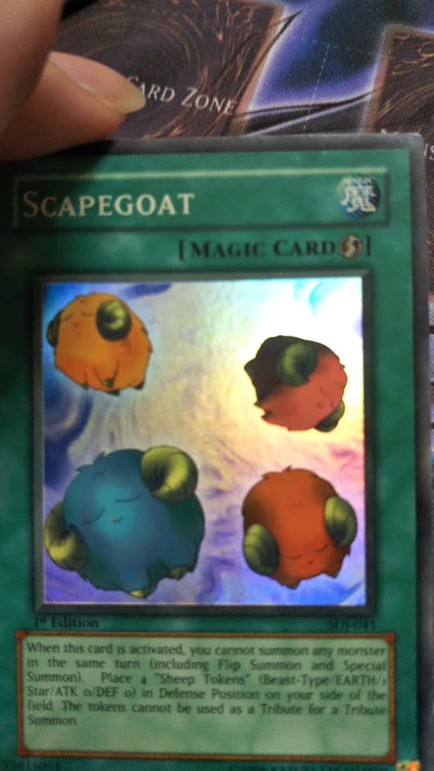 SCAPEGOATスケープ・ゴート 1st Edition faded？色褪せ