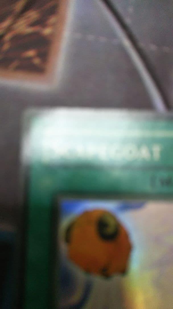 SCAPEGOATスケープ・ゴート 1st Edition faded？色褪せ