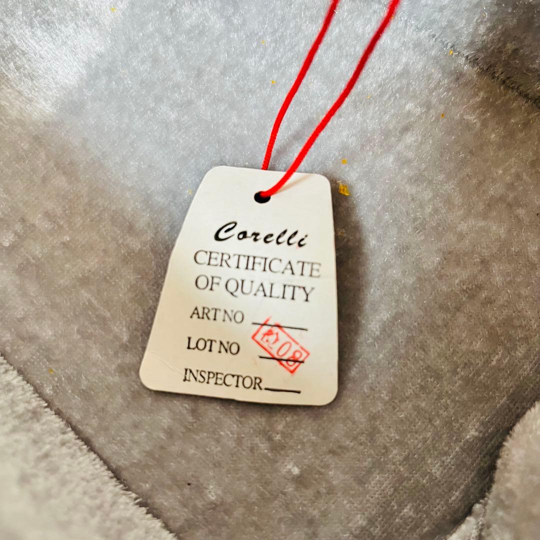 希少品　コレルリ Corelli バイオリン　1/2