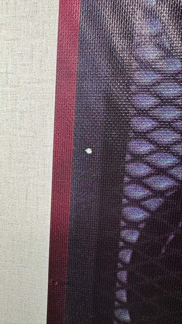 【超希少】非売品直筆サイン入りダイムバックダレル 大型ビニールポスター