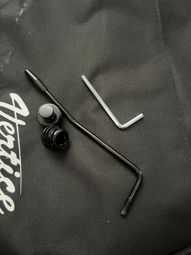 Vertice エレキギター VEG-06ST