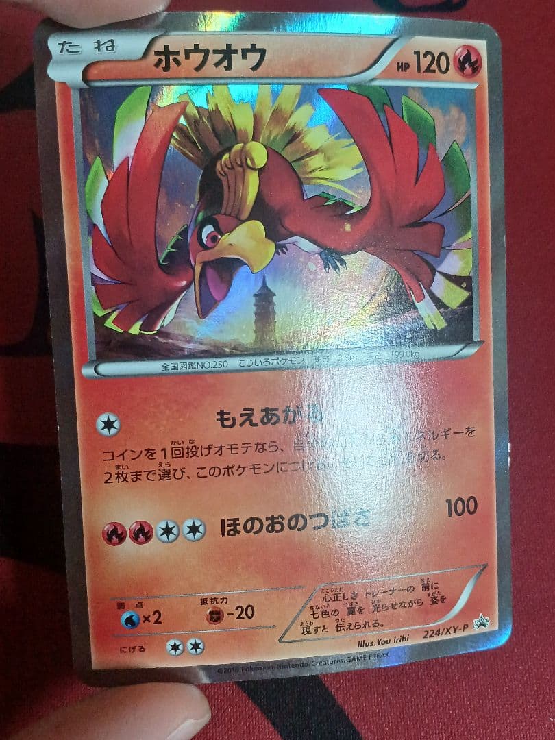 バラ売り交渉可　ホウオウ　224/xy-p　ルギア　228/xy-p