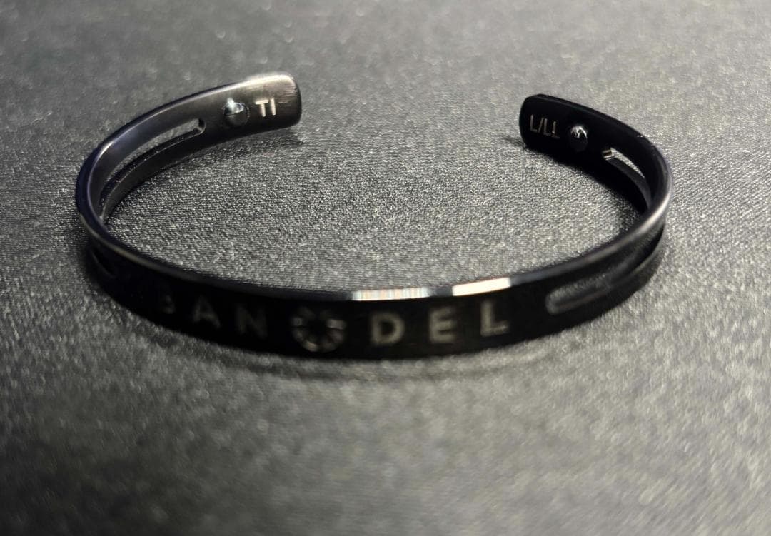 BANDEL ブラック バングル チタン