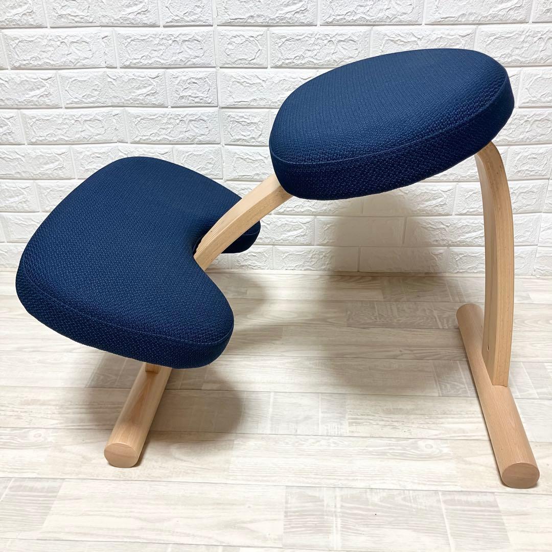 極美品　別売カバー付　バランスイージー　balance easy 紺　ネイビー