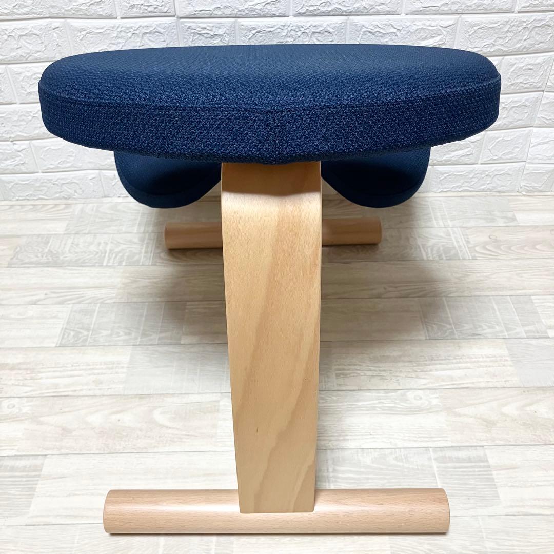 極美品　別売カバー付　バランスイージー　balance easy 紺　ネイビー