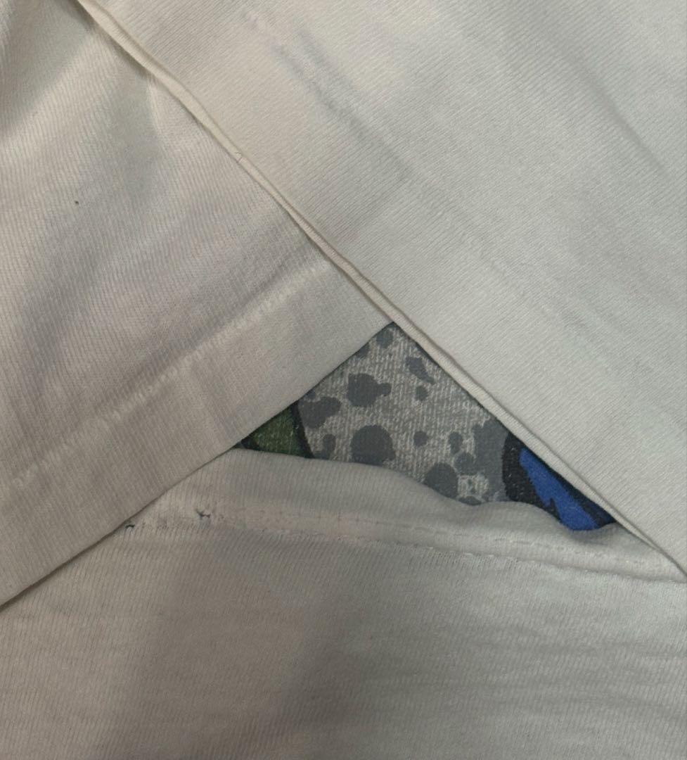 【ドスペ‼️】90sGREEN DAY EAT YOUR PARENTS Tシャツ