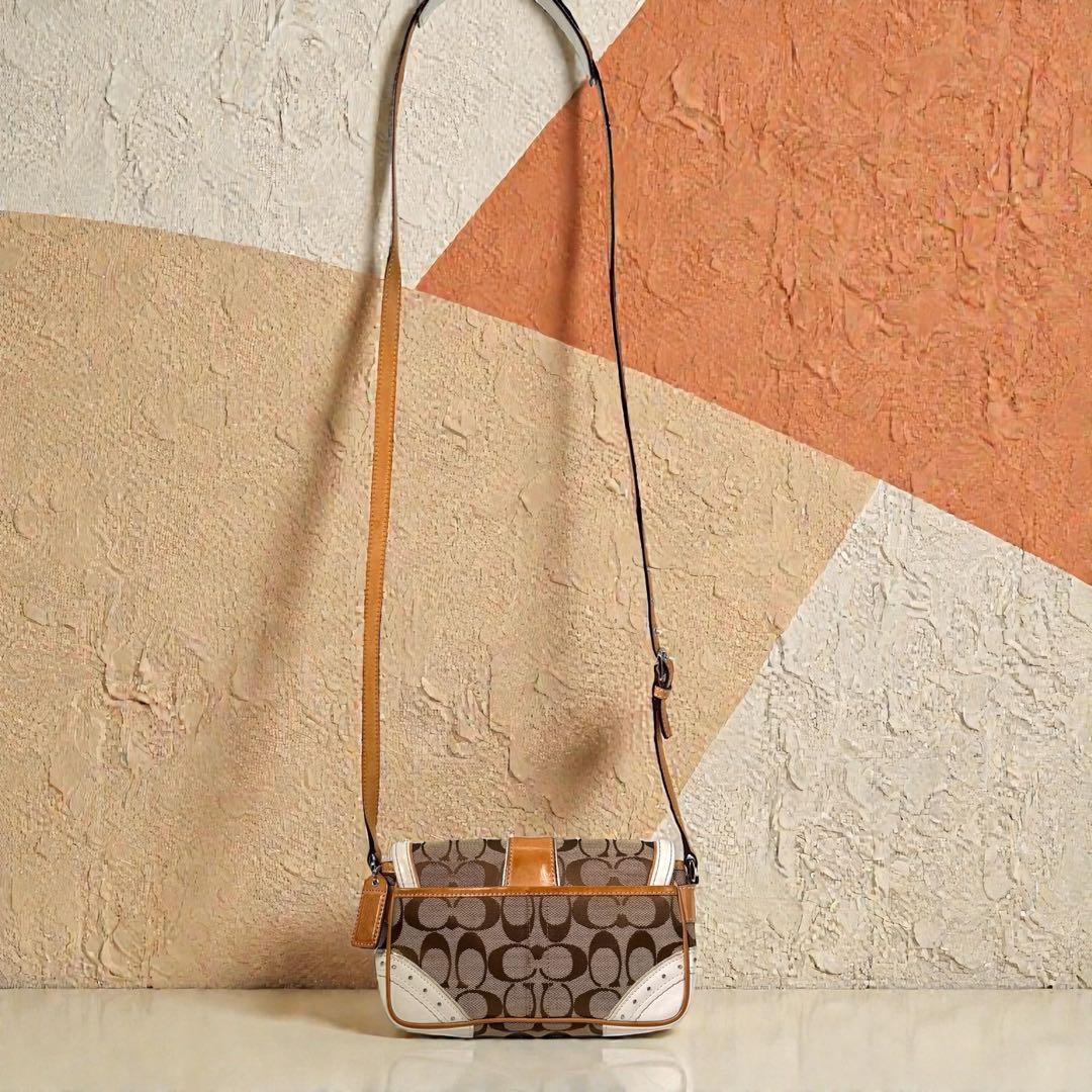 《入手困難》coach ショルダーバック ソーホー キャンバス レザー y2k