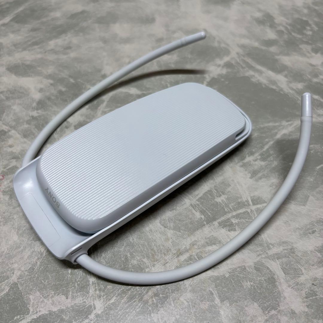 ソニー SONY レオンポケット5 REON POCKET5 タグ付