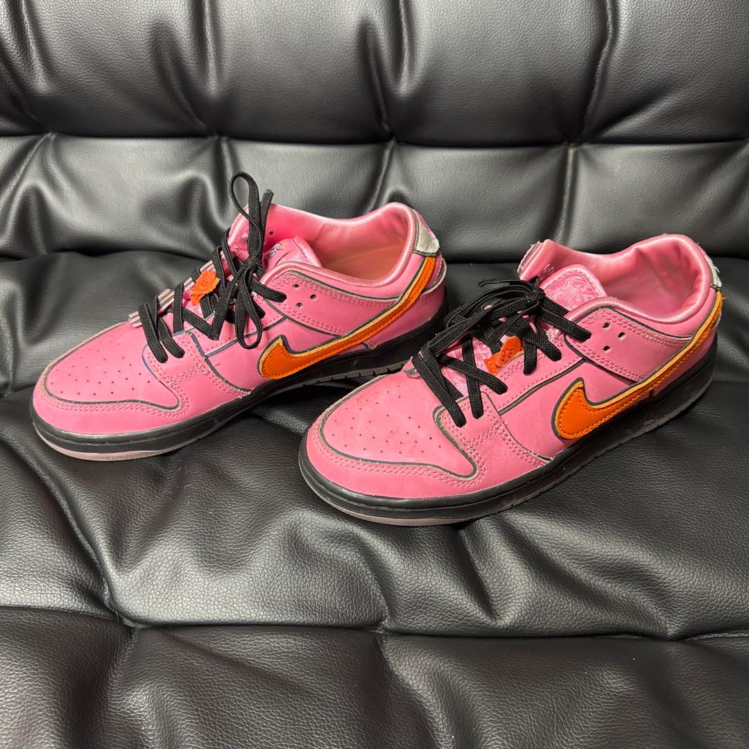 ※美品※ NIKE SB×パワーパフガールズ　22cm