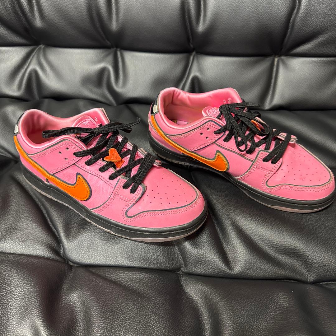 ※美品※ NIKE SB×パワーパフガールズ　22cm
