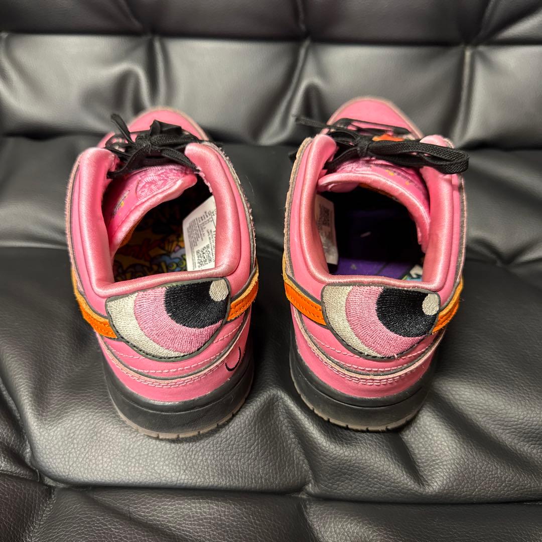 ※美品※ NIKE SB×パワーパフガールズ　22cm