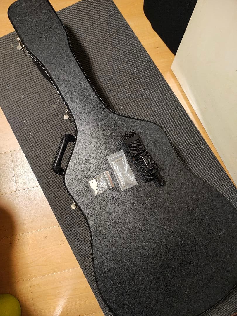 Epiphone Humming bird Pro/ハードケース