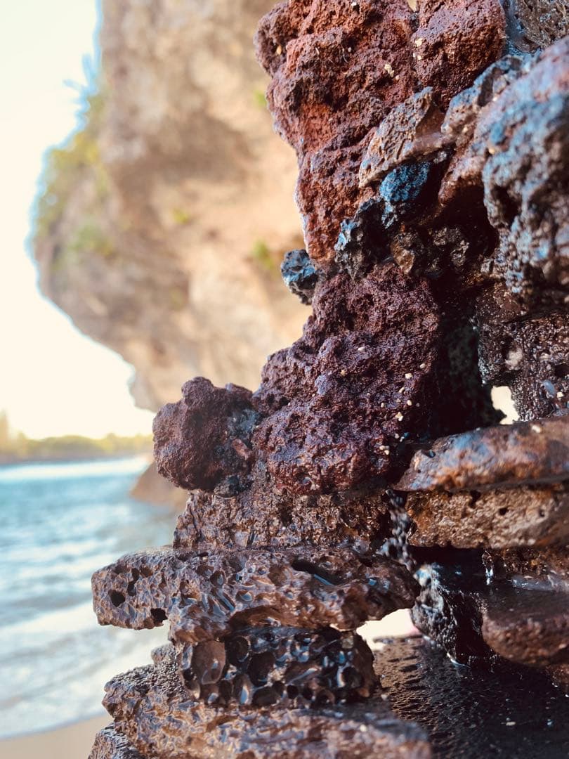 荒崎海岸デザイン溶岩　ピクシーシュリンプ海水魚　水槽　溶岩石レイアウト　濾過