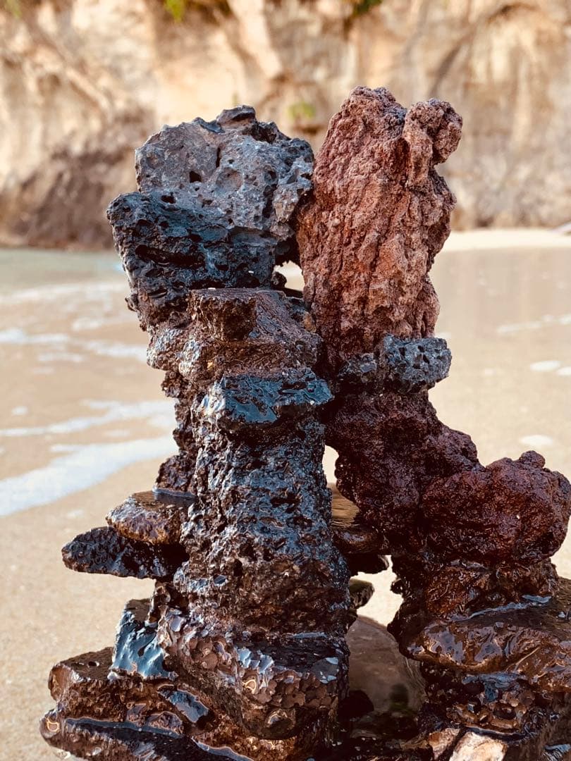 荒崎海岸デザイン溶岩　ピクシーシュリンプ海水魚　水槽　溶岩石レイアウト　濾過