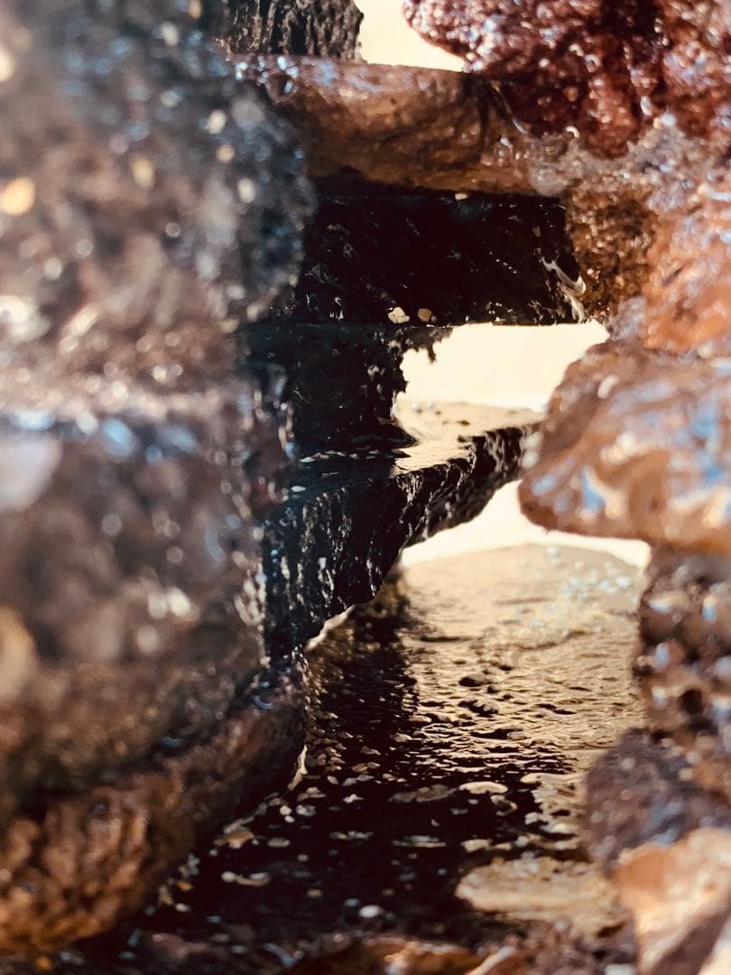 荒崎海岸デザイン溶岩　ピクシーシュリンプ海水魚　水槽　溶岩石レイアウト　濾過