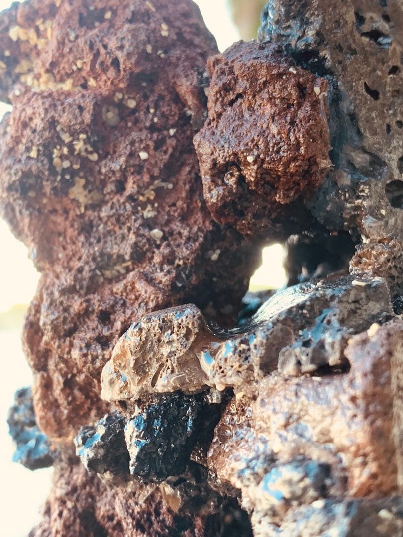 荒崎海岸デザイン溶岩　ピクシーシュリンプ海水魚　水槽　溶岩石レイアウト　濾過