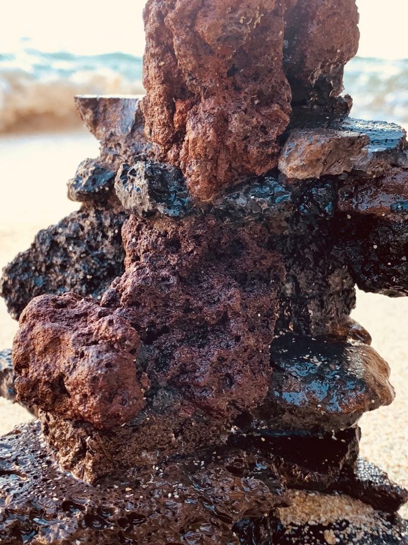 荒崎海岸デザイン溶岩　ピクシーシュリンプ海水魚　水槽　溶岩石レイアウト　濾過