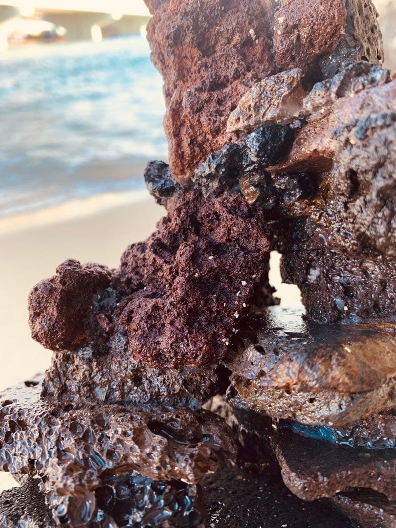 荒崎海岸デザイン溶岩　ピクシーシュリンプ海水魚　水槽　溶岩石レイアウト　濾過