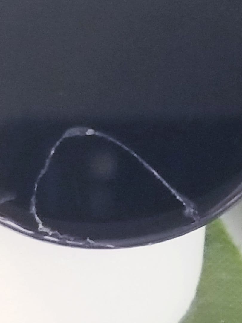 ムジョミ　カメオルース5枚