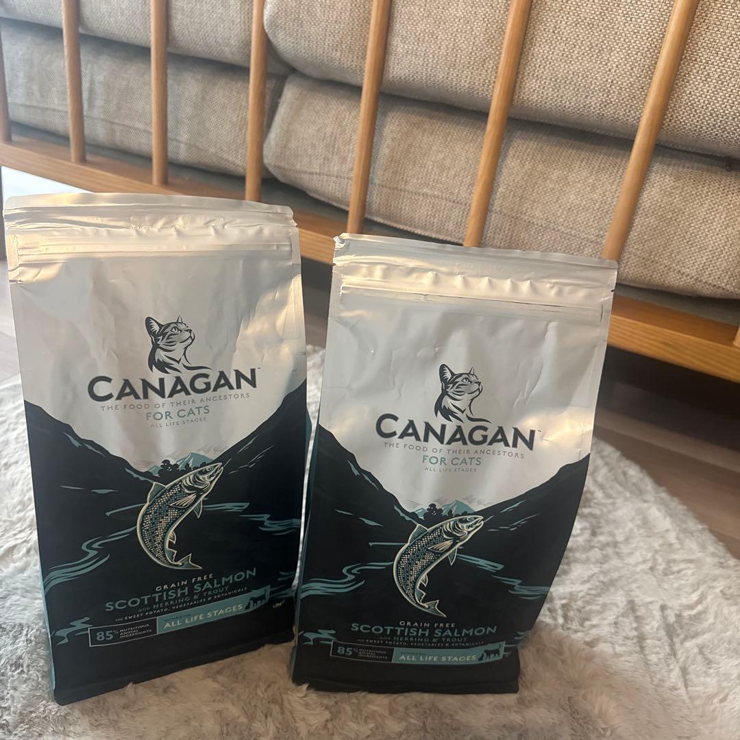 CANAGAN カナガン サーモン2袋！猫ドライフード
