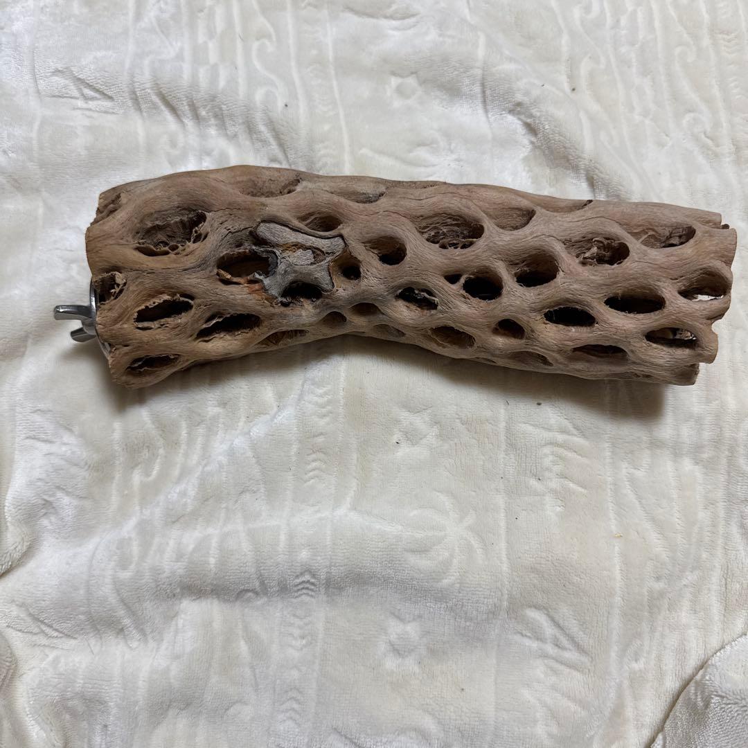 大型インコ　オウム用　カクタスパーチ　手作り