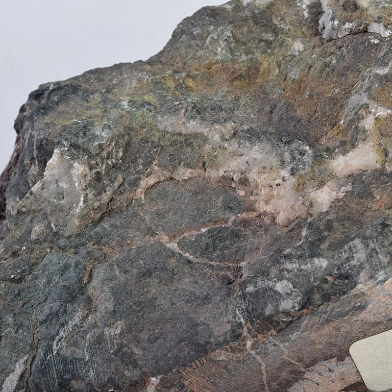 天然石　鑑賞石　菊花石　置物　重さ約1149g　N　8898