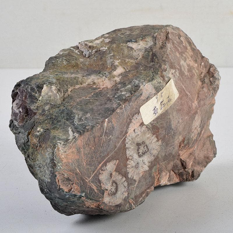 天然石　鑑賞石　菊花石　置物　重さ約1149g　N　8898