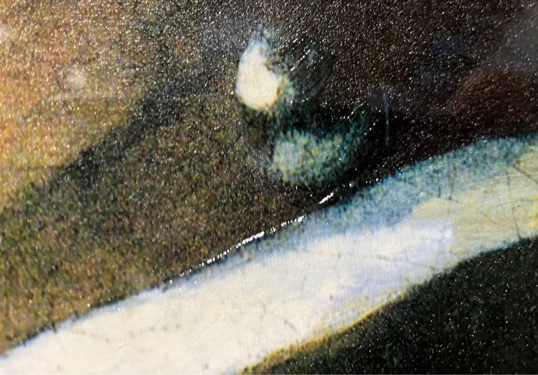 フェルメール　真珠の耳飾りの少女　額付き立体複製画