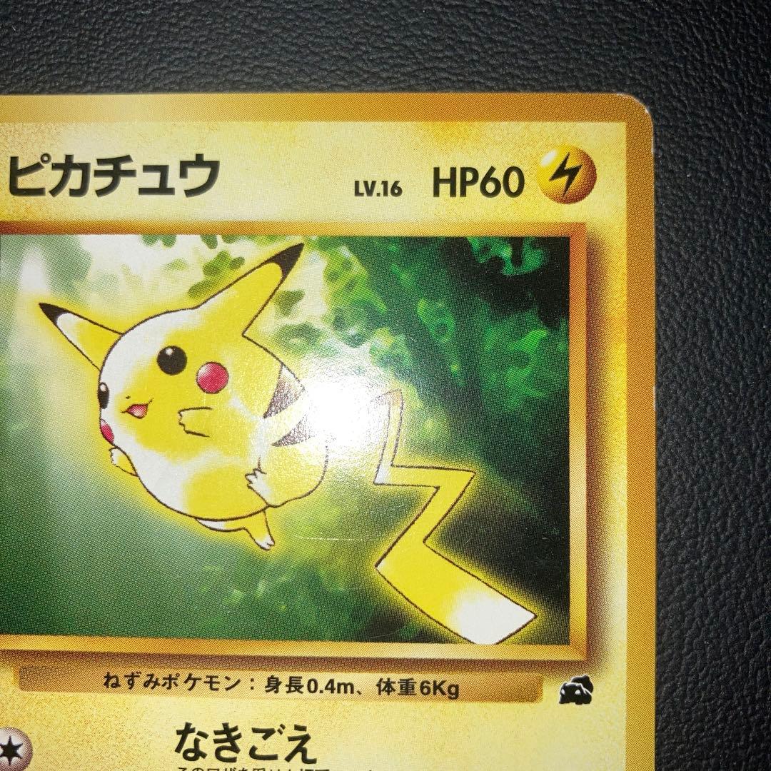 美品　旧裏　ピカチュウ イントロパック　40 フシギダネ