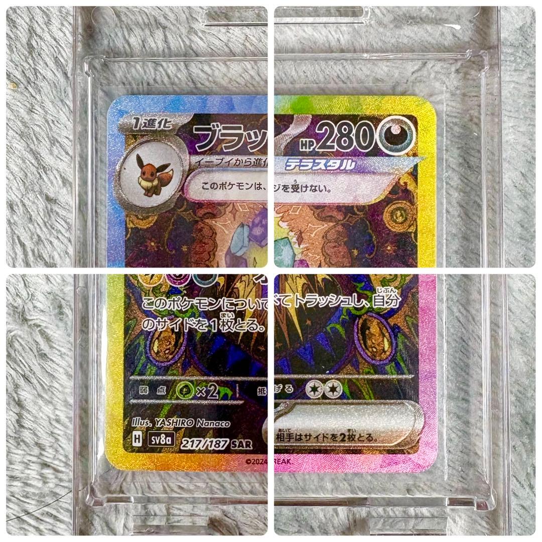 【極美品】ブラッキーex SAR テラスタルフェスex