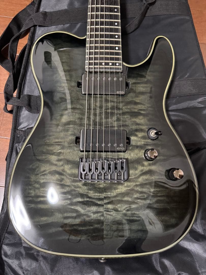 ギター SCHECTER HELLRAISER HYBRID PT-7