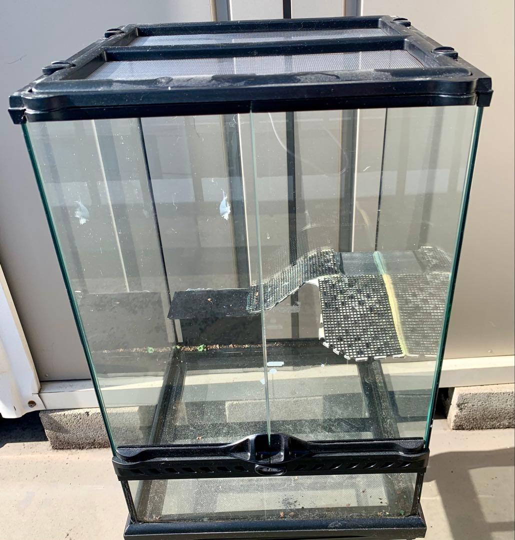 エキゾテラ　グラステラリウム　3045 レイアウト仮組み　生体未使用品