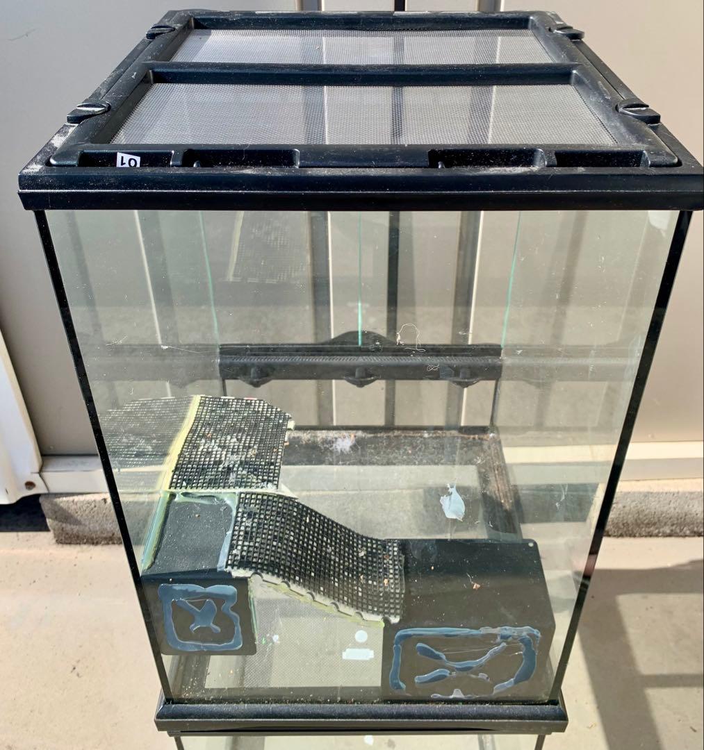 エキゾテラ　グラステラリウム　3045 レイアウト仮組み　生体未使用品