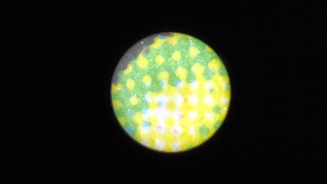 NFC 引き裂かれし永劫、エムラクール　Foil ⭐︎ 英語　 MTG