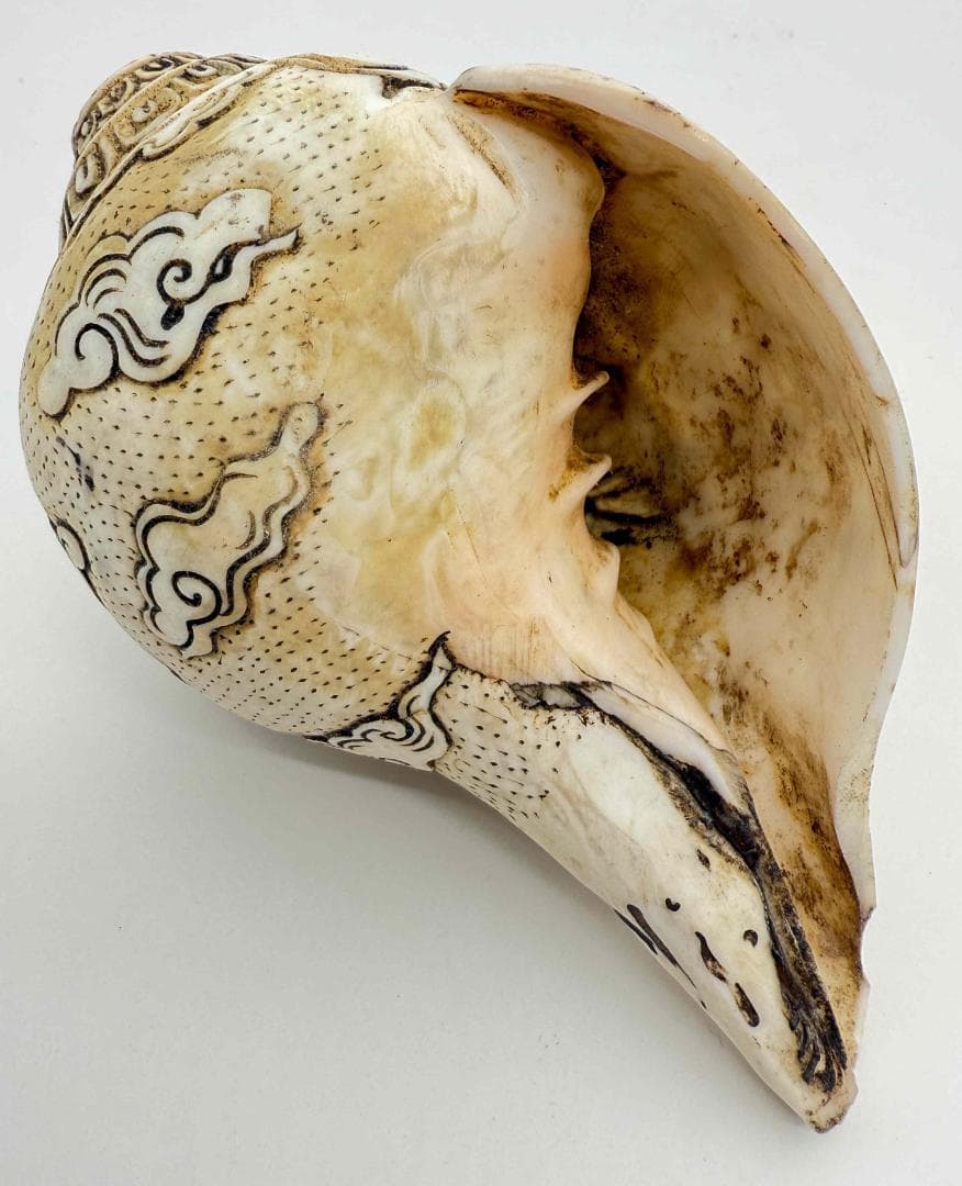 ◆チベット密教法具　法螺貝（シャンカ）・ヴィルーパ