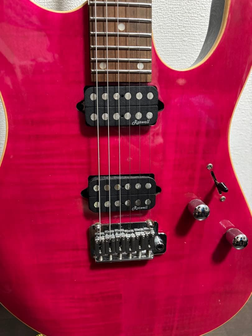 エレキギター vasilisk VAS-01