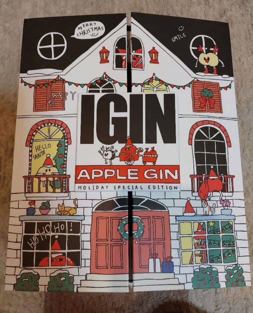 BTS JIN IGIN ホリデースペシャル Edition 黒