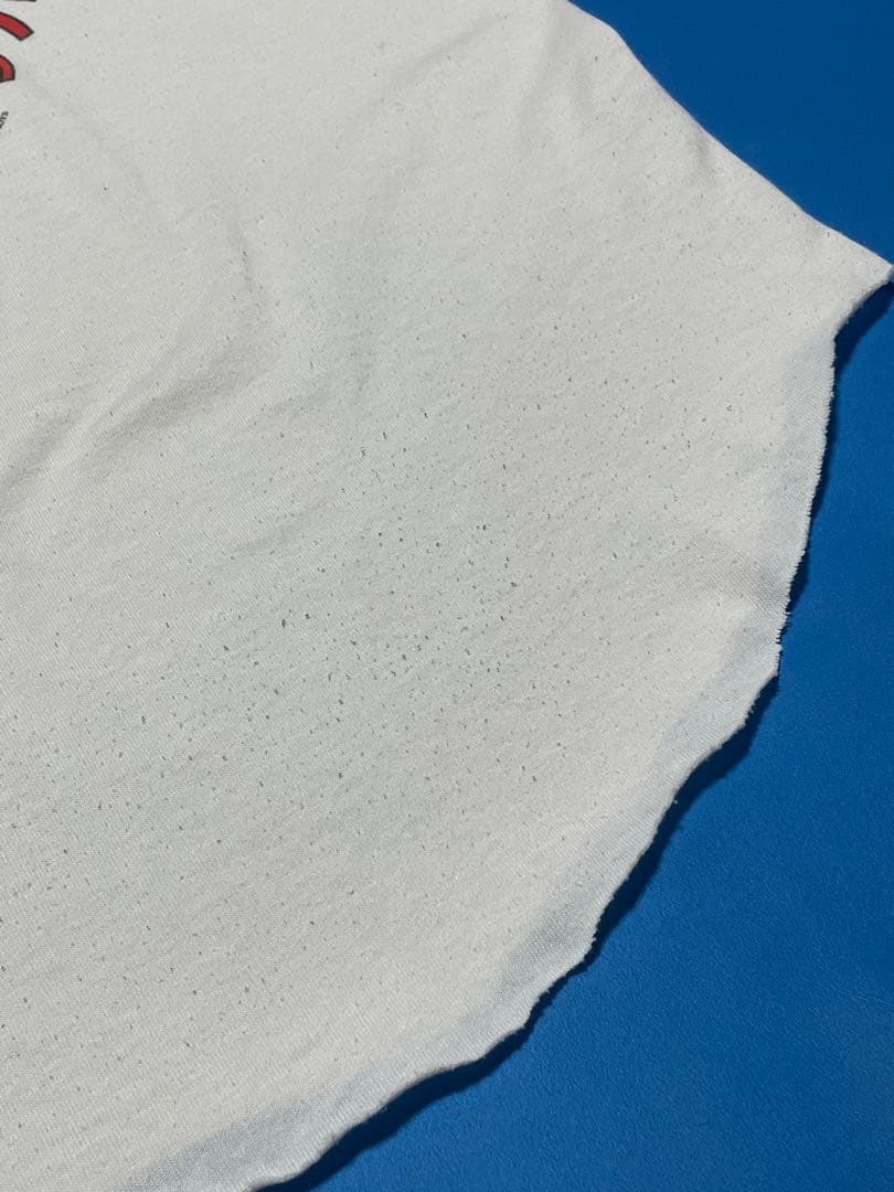 激レア90's Beastie Boys ラグランTシャツ Lサイズ 1994