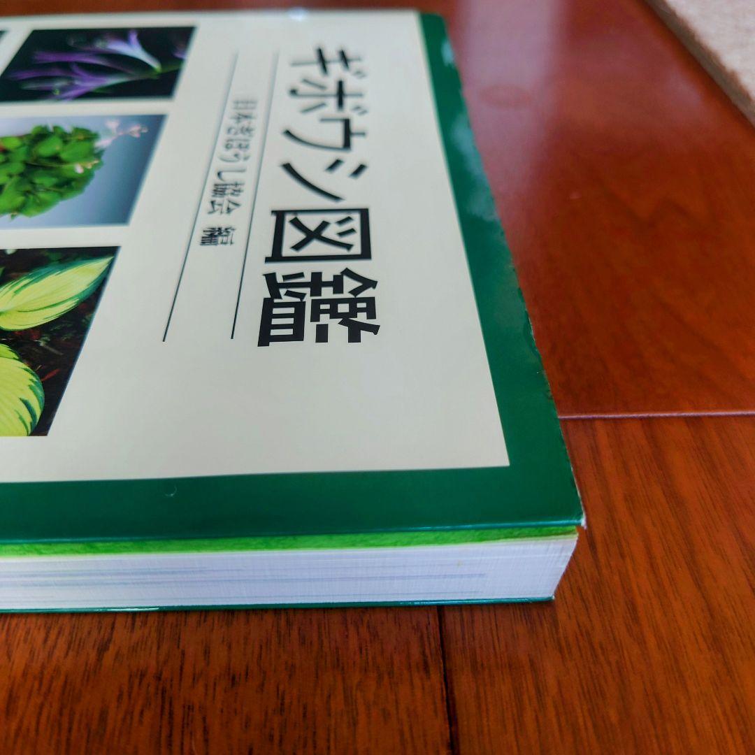 ギボウシ図鑑 日本ギボウシ協会編 誠文堂 新光社 マニア必見 ぎぼうし　ホスタ