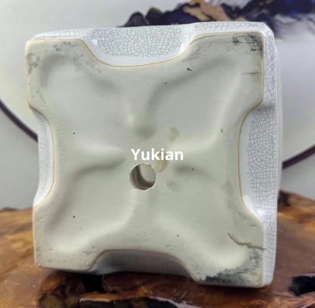 陶磁 植木鉢 方形盆 盆栽鉢 植木鉢 小品盆栽鉢 大品盆栽鉢